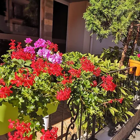 Tropics Hotel 3*
