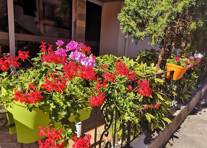 Tropics Ξενοδοχείο 3*